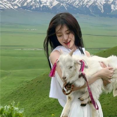 完美谋杀案